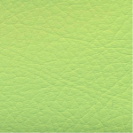 Pranna Verde Manzana