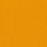 Silvertex Squash